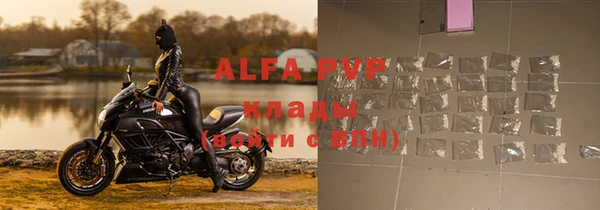 ГАЛЛЮЦИНОГЕННЫЕ ГРИБЫ Вяземский