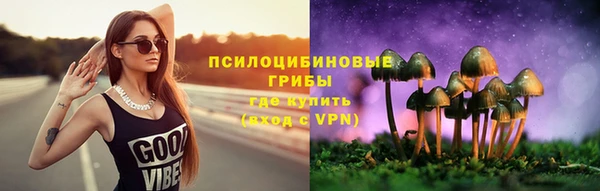 ГАЛЛЮЦИНОГЕННЫЕ ГРИБЫ Вяземский
