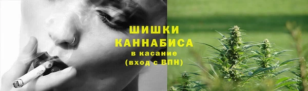 ГАЛЛЮЦИНОГЕННЫЕ ГРИБЫ Вяземский