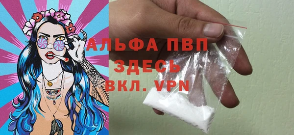 ГАЛЛЮЦИНОГЕННЫЕ ГРИБЫ Вяземский