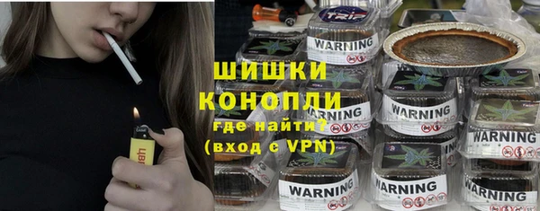 ГАЛЛЮЦИНОГЕННЫЕ ГРИБЫ Вяземский