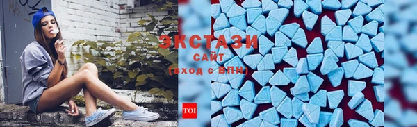 ГАЛЛЮЦИНОГЕННЫЕ ГРИБЫ Вяземский
