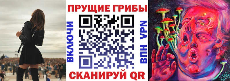 ссылка на мегу как зайти  наркота  Майкоп  Галлюциногенные грибы Magic Shrooms 